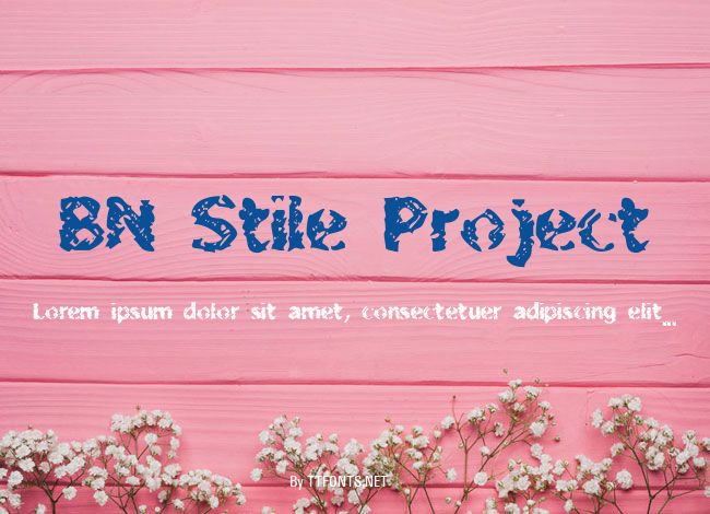 BN Stile Project example